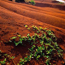 复古风格街机竞速对战游戏《机体超然》现已开启封闭测试